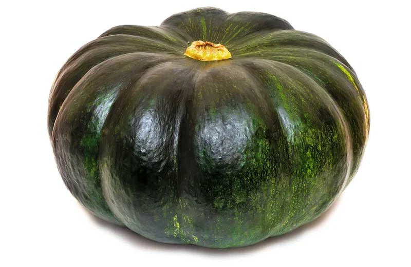 Cupcake Squash Seeds - 25+ Pack - Heirloom Variety - Cucurbita pepo - USA Grown, Home Garden Planting