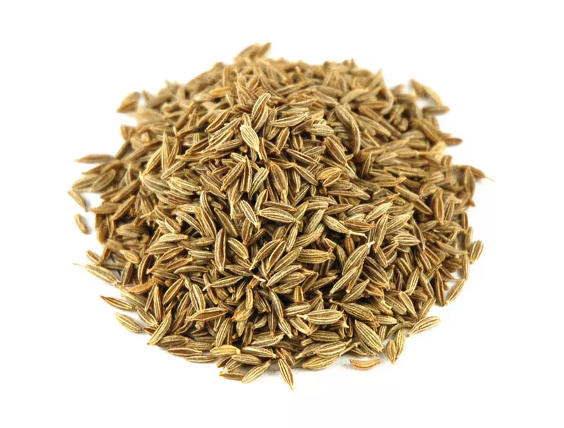 Cumin Herb Seeds 250+ Fresh Seeds Cuminum cyminum Culinary Spice Gardening