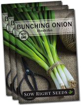 - Heshiko Japanese Bunching Green Onion Seeds for Planting - Non-Gmo Heirloom - Instructions to Plant and Grow a Kitchen Garden Indoors or Outdoors - Mild Onion Flavor for Cooking (3)