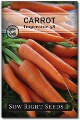 - Imperator 58 Carrot Seed for Planting - Non-Gmo Heirloom Packet with Instructions to Plant a Home Vegetable Garden - Indoors or Outdoors - Long Variety, Super Sweet (1)
