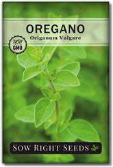 - Oregano Seed for Planting - Non-Gmo Heirloom- Instructions to Plant and Grow a Kitchen Herb Garden - Indoor or Outdoor - Gardening Gift - Produces Flavorful Leaves for Seasoning