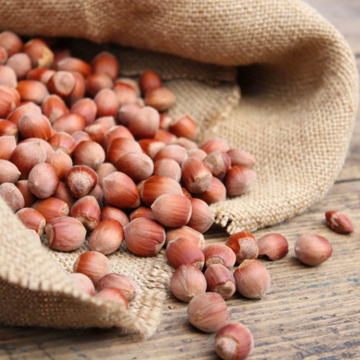 American Hazelnut by Growing Home Farms
