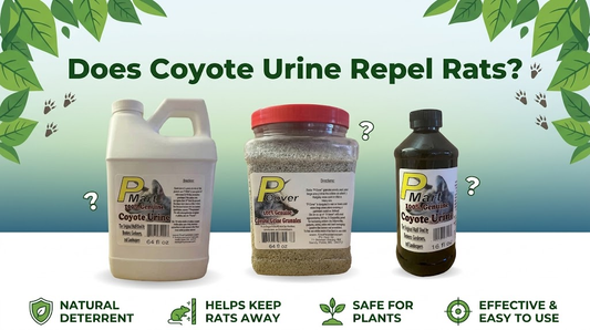 Does Coyote Urine Repel Rats