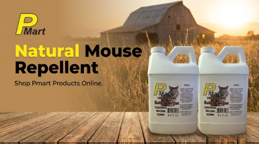 Natural mouse repellent