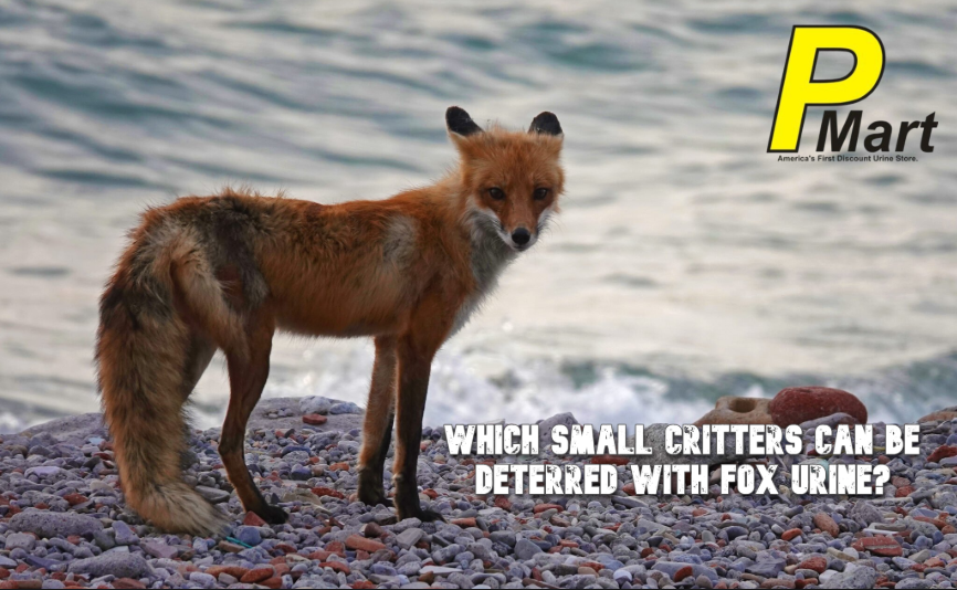 Fox urine