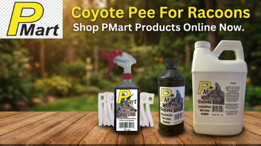 Coyote pee for raccoons