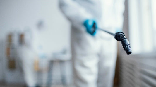 what does pest control do for mice