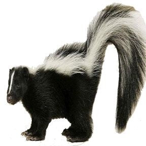 skunk pellets