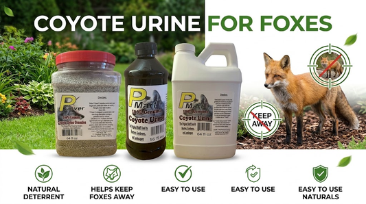 Coyote Urine for Foxes