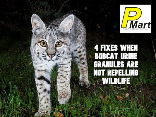 Bobcat urine granules