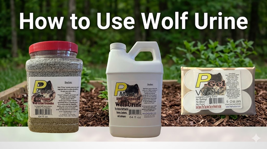 How to Use Wolf Urine