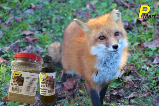 fox urine granules