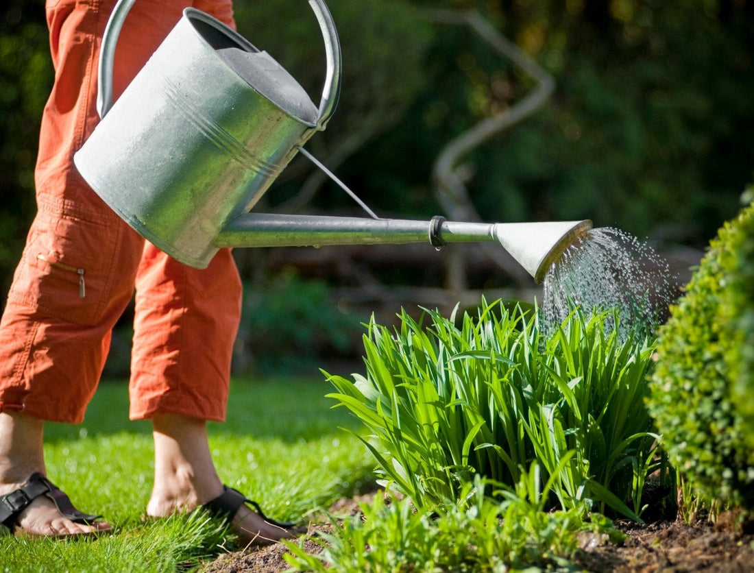 How Coyote Pee Pellets Can Keep Your Garden Safe