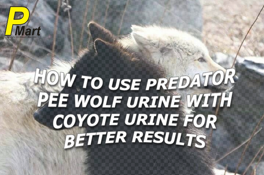 How to Use Predator Pee Wolf Urine with Coyote Urine for Better Results