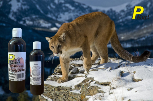 mountain lion urine usage