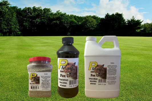 fox urine for outdoor protection