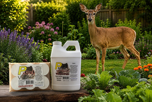 Best Natural Deer Repellent for Your Garden