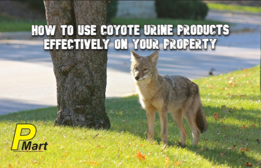 coyote urine repellent
