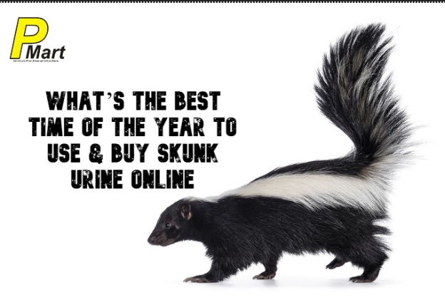 skunk urine