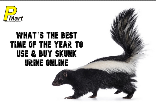 skunk urine