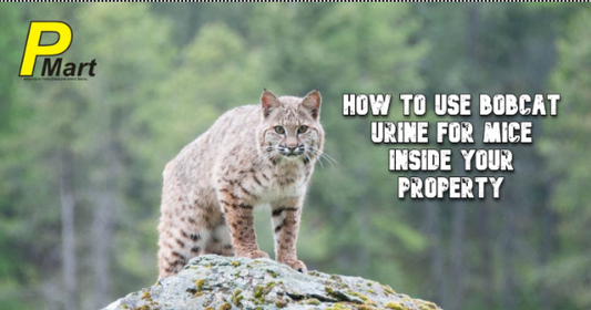bobcat urine repellent
