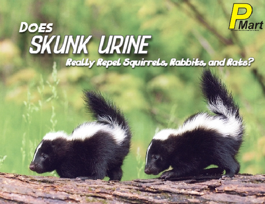 Does Skunk Urine Really Repel Squirrels, Rabbits, and Rats?