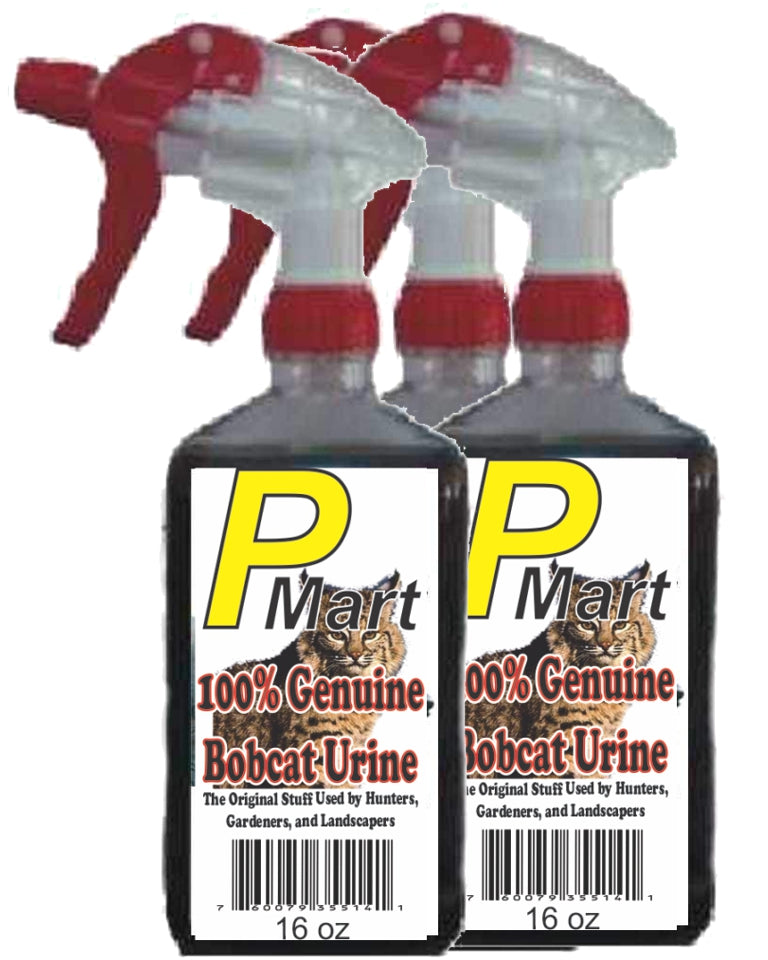 Bobcat 3 pack 16oz Trigger Spray-- Save$$$