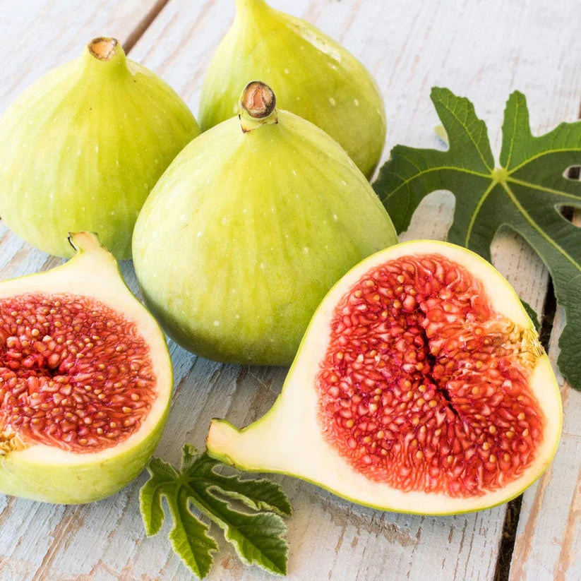 Desert King Fig Cuttings (Ficus carica) - 2 Unrooted 6-8" | Cold Hardy Green Fig with Sweet Red Flesh | Ideal for Propagation & Home Gardens