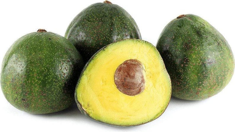Nabal Avocado Tree - Grafted - 3 to 4 Feet Tall - Bigger Trunk - Persea americana