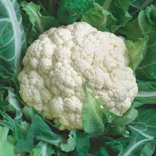 Self Blanching Cauliflower Seeds – 1g for Planting, Tender White Heads, Mild Flavor, Great for Cooking, Steaming & Cool Season Gardens