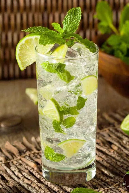 Mojito Mint Plant, Organic, Culinary & Medicinal Herb, Mentha x villosa, Live Herb Plant, Fresh Mint for Cocktails