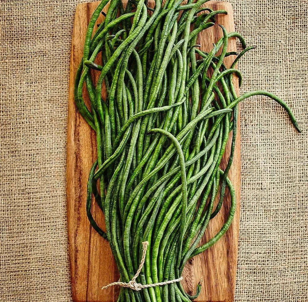 Yard Long Bean Seeds | Asian Asparagus Green Beans | Vigna unguiculata | USA Grown, 2025
