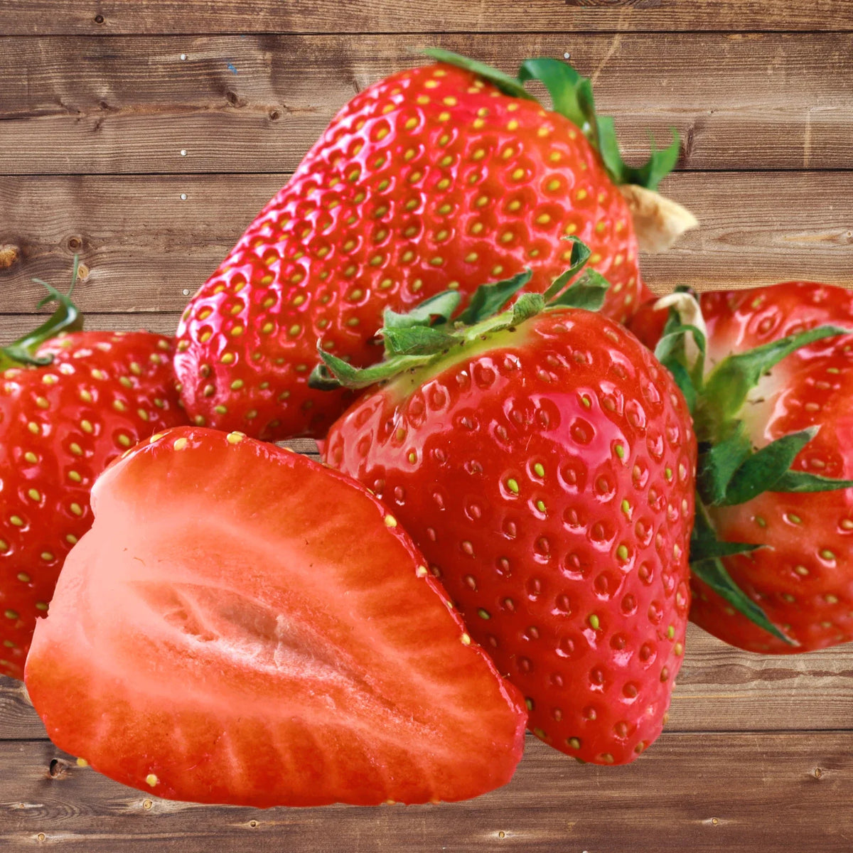 Seascape Strawberry Roots - Bare Root Plants | Ever-Bearing Variety | Fragaria x ananassa