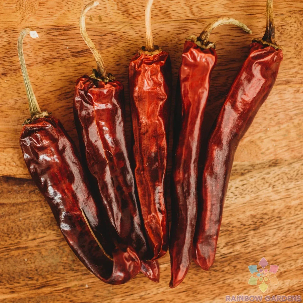 Mulato Chile Sweet Pepper Seeds - 25+ Pack for Garden Planting - Capsicum annuum - USA