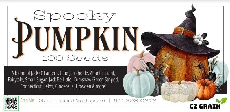 Spooky Blend Pumpkin Seeds for Planting - 100 Mixed Seeds - Heirloom Varieties - Cucurbita pepo