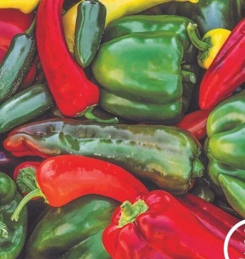 Sweet & Spicy Pepper 25 Seeds Mix - for Home Garden - Capsicum Annuum & Capsicum Chinense