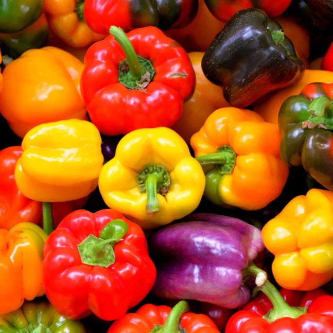 Rainbow Mix Bell Pepper Seeds - Heirloom Red, Green, Orange - Perfect for 2025 Planting - Capsicum annuum