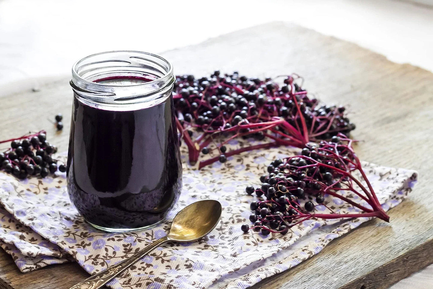 Fresh Elderberry Cuttings - Black-Bearing Variety - Grow 5 Bushes - Sambucus nigra