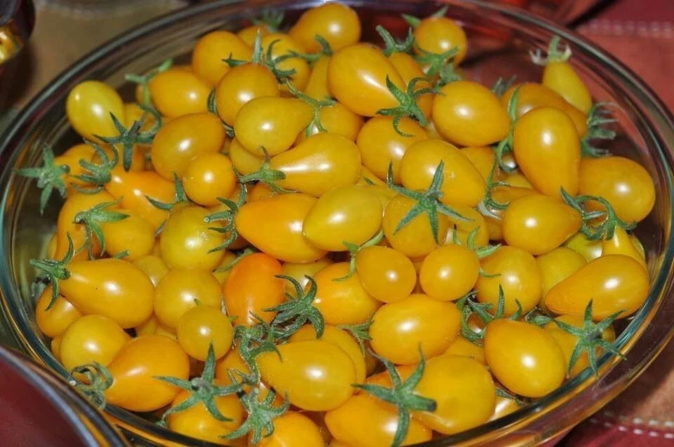 Yellow Pear Tomato Seeds - 120+ Heirloom, Non-GMO, Fresh, Organic (Solanum lycopersicum)