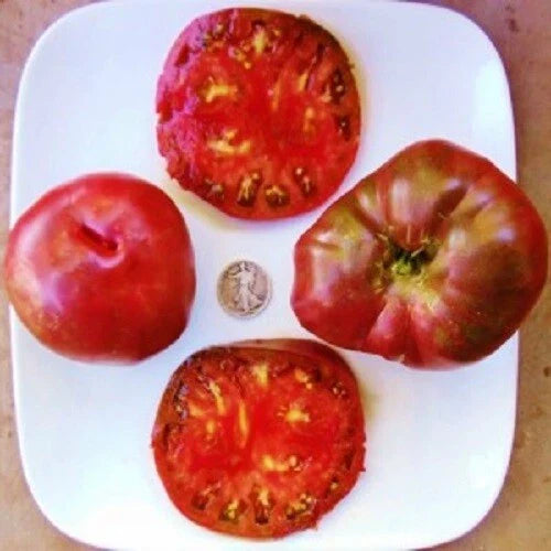 Black From Tula Seeds - Russian Beefsteak Variety - +25 Heirloom Seeds - Perfect for Home Gardening