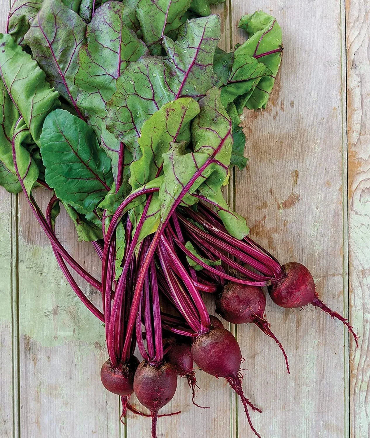 Detroit Dark Red Beet Seeds - Medium Top Variety - Non-GMO, Heirloom - Beta vulgaris - Made in USA, Ships from Iowa