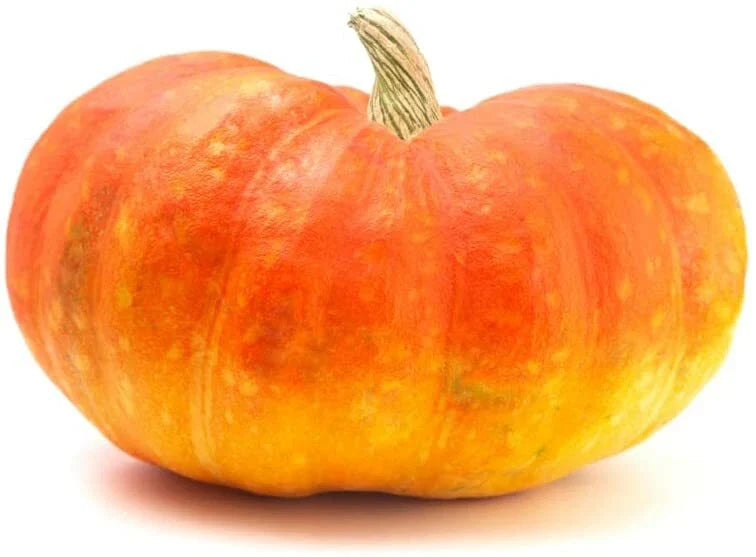 Cinderella Pumpkin Seeds - 20 Count - Heirloom Variety - Cucurbita pepo