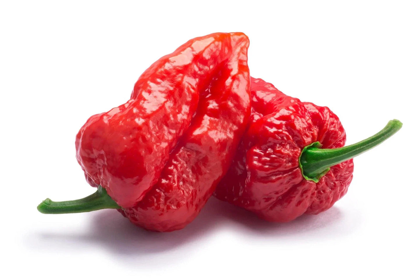Ghost Pepper Seeds - 20+ Seeds - Bhut Jolokia - Plant Hottest Peppers for Amazing Flavor