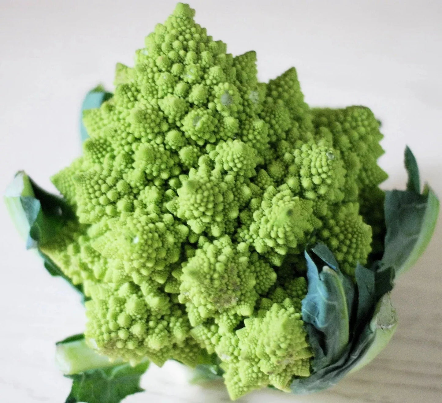 Romanesco Broccoli Seeds - 1000+ Count - Non-GMO Heirloom Organic - Fresh Seeds for Gardening (Brassica oleracea)