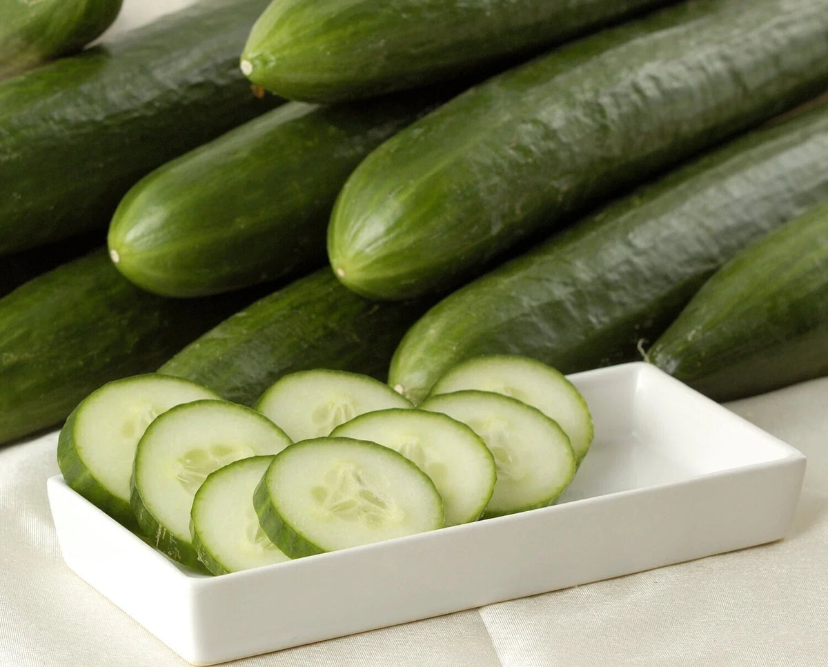 Ashley Long Cucumber Seeds - Heirloom, Non-GMO, Organic - 10+ Seeds - Cucumis sativus