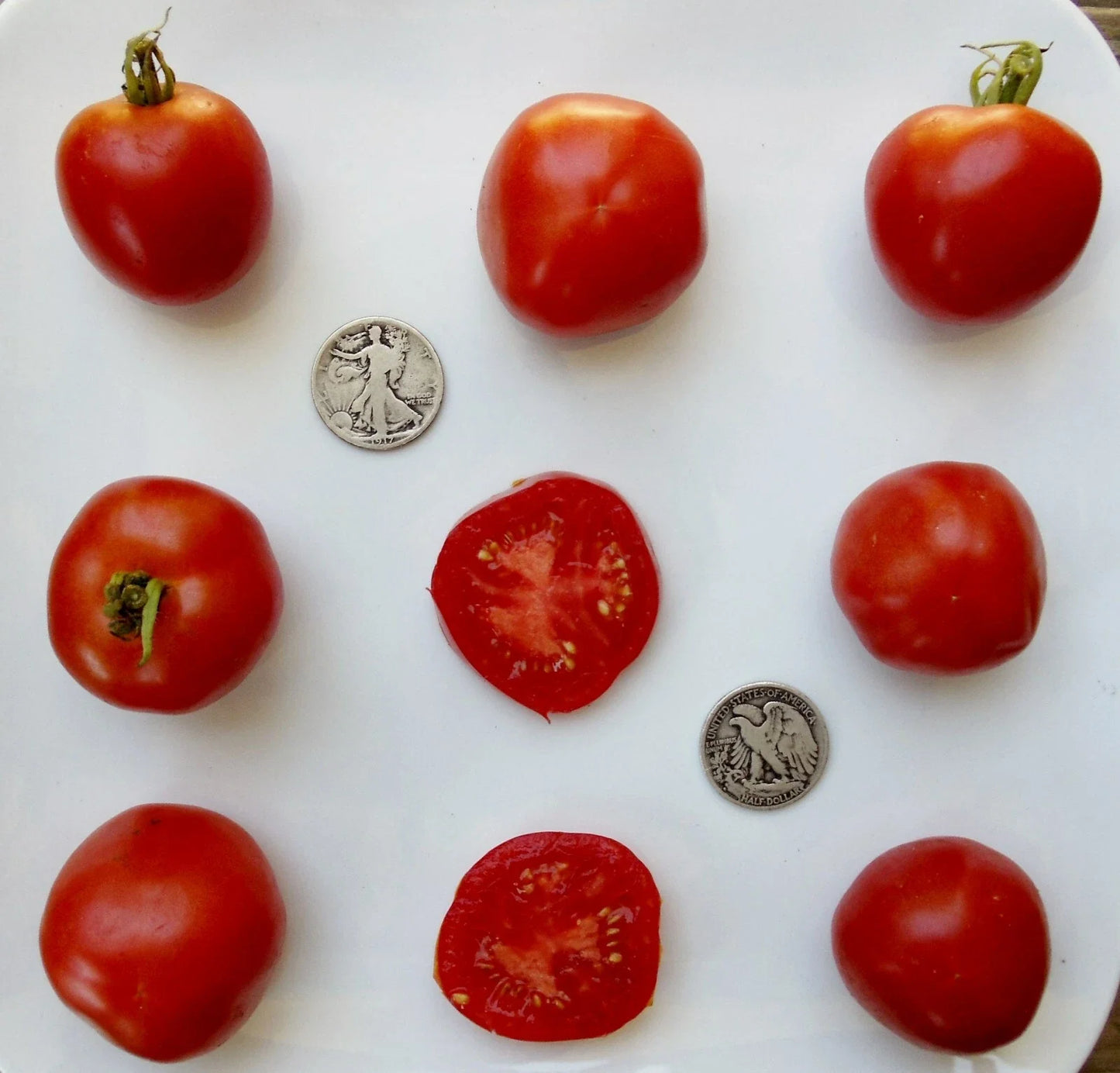 Stupice Tomato Seeds - Very Early Variety - 25 Fresh Seeds - Solanum lycopersicum