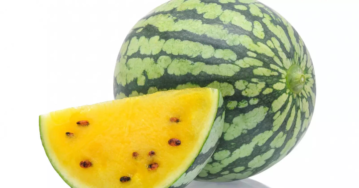 Yellow Petite Heirloom Watermelon Seeds - 11 Seeds - Citrullus lanatus - GroCo USA