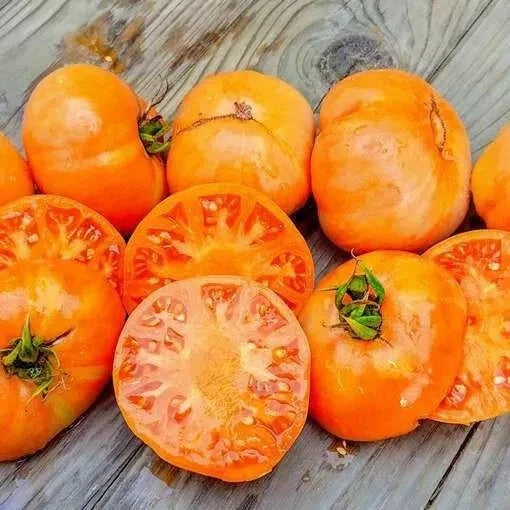Amana Orange Tomato Seeds - 120+ Heirloom Organic Seeds - Rare Variety - Solanum lycopersicum
