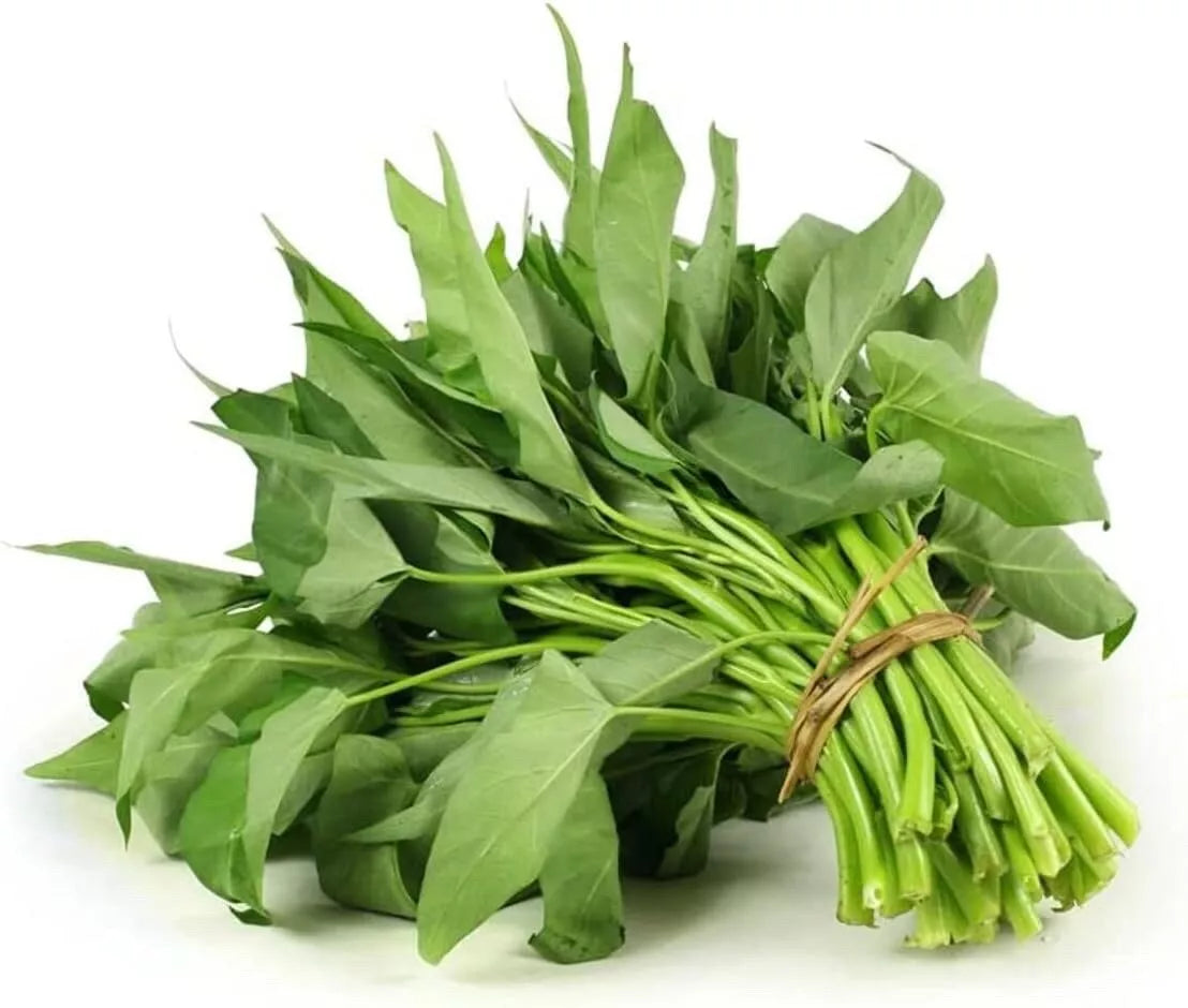 Ong Choy Seeds - 100g - Vietnamese Water Spinach - Hat Rau Muong - Kang Kong (Ipomoea aquatica)