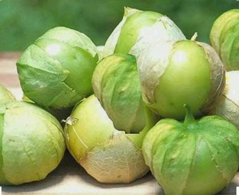 Tomatillo Seeds - 100 Count - Toma Verde - Non-GMO, Open Pollinated - Perfect for Home Gardening